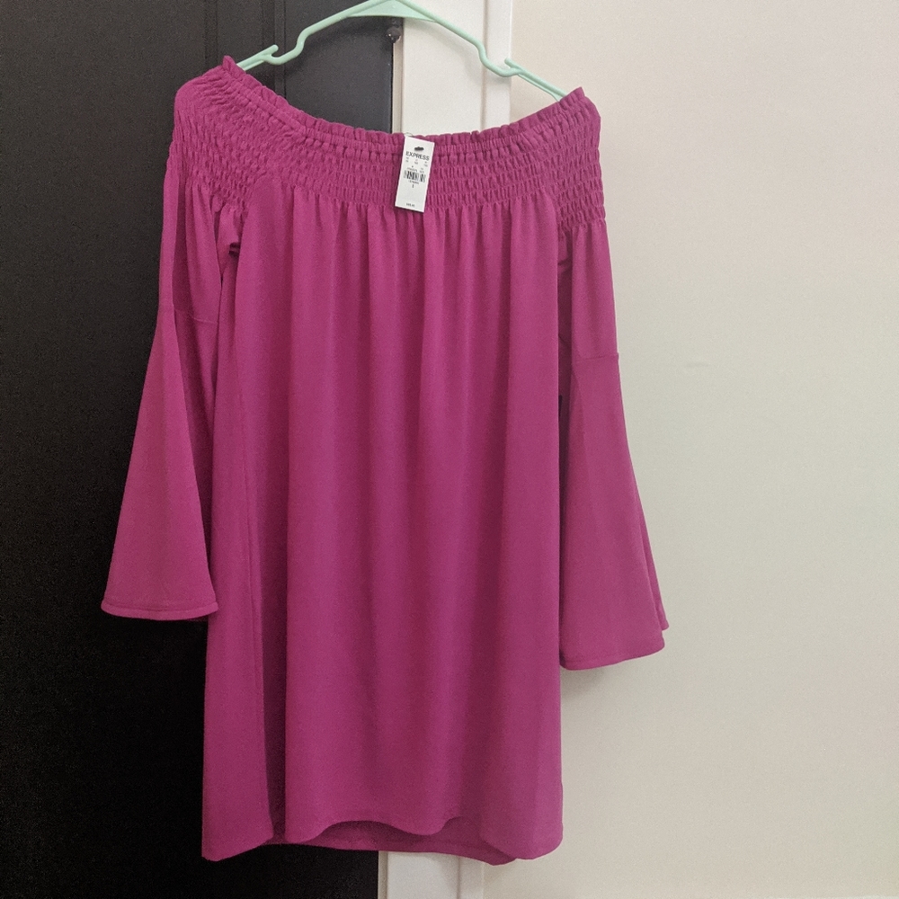 NWT Express dress